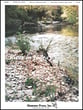 River in Judea-Vocal Solo Vocal Solo & Collections sheet music cover